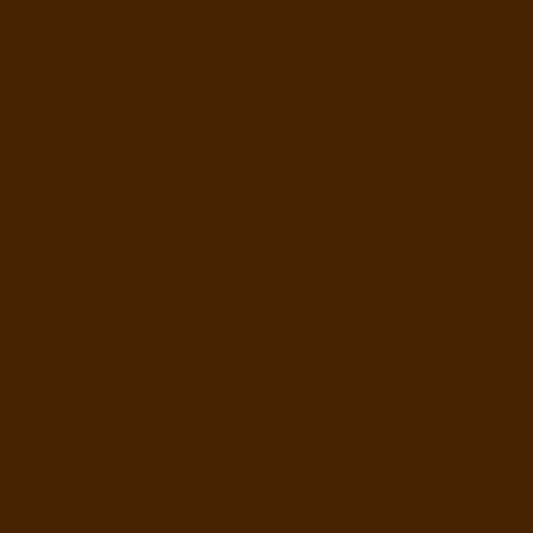 Raw Umber Doll Paint
